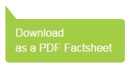 Download as PDF